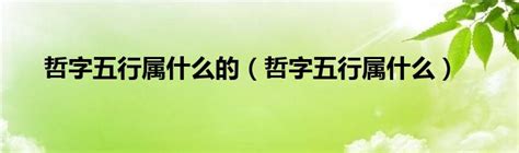 哲字五行|哲字的五行是什麼？什麼樣的名字適合用哲字